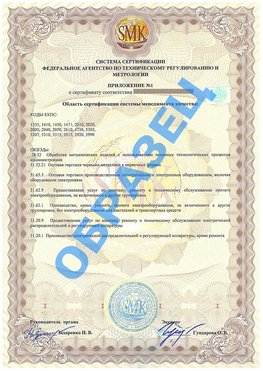 Приложение 1 Хороль Сертификат ГОСТ РВ 0015-002